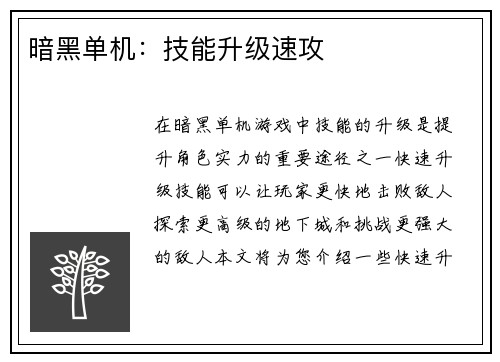 暗黑单机：技能升级速攻