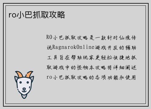ro小巴抓取攻略